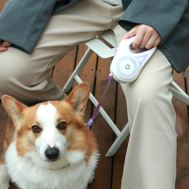 Elevate Your Dog Walks with the Retractable Dog Leash and Collar Set - Perfect for Small to Medium Pets!