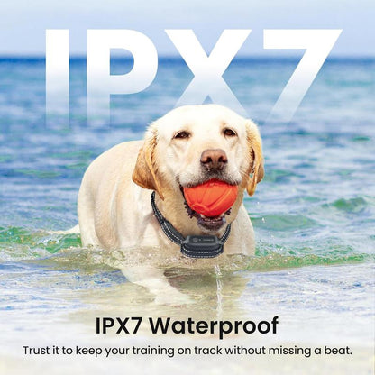 Heapets Anti-Tugging Dog Training Collar with Remote Control - Effortless Leash Training for Dogs of All Sizes, 1600FT Range, Safe Static, Beep & Vibration Modes, Rechargeable & Waterproof