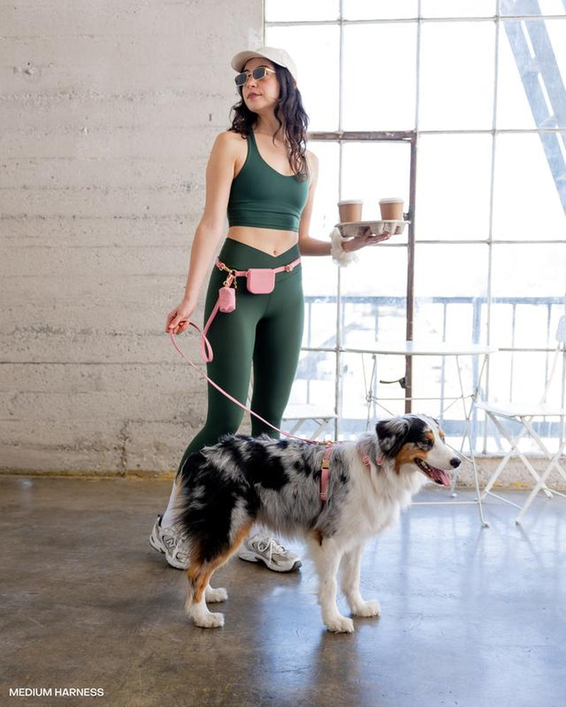 4-in-1 Convertible Hands-Free Dog Leash, 8.5 Feet Long, 5/8 Inch Wide