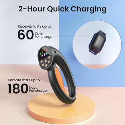 Heapets Anti-Tugging Dog Training Collar with Remote Control - Effortless Leash Training for Dogs of All Sizes, 1600FT Range, Safe Static, Beep & Vibration Modes, Rechargeable & Waterproof