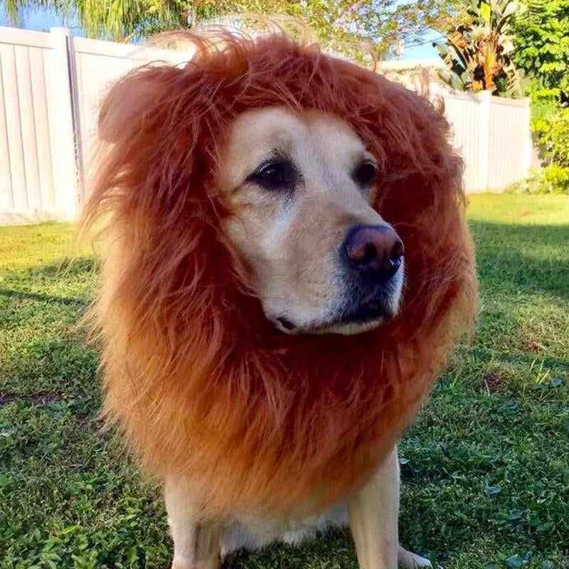 Roar with Style: Adorable Lion Mane Costume for Medium to Large Dogs - Perfect for Halloween and Parties!