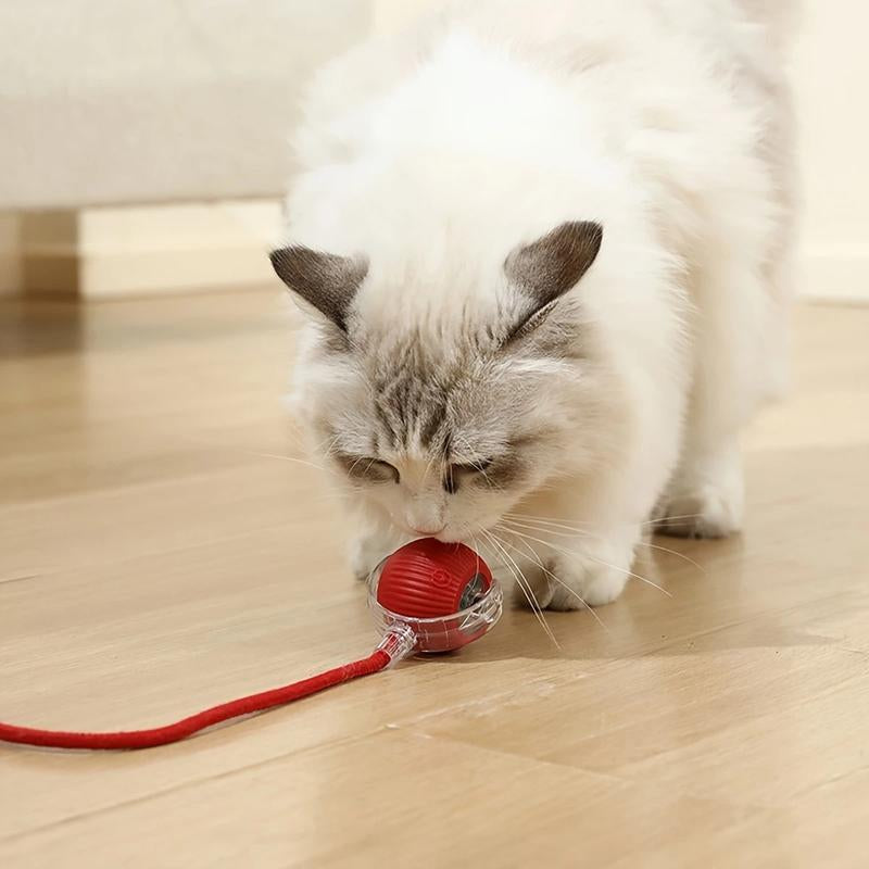Unleash the Fun with Our USB Rechargeable Interactive Cat Toy Ball! 🐾🎉 Durable, Striped, and Perfect for Playtime!
