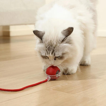Unleash the Fun with Our USB Rechargeable Interactive Cat Toy Ball! 🐾🎉 Durable, Striped, and Perfect for Playtime!