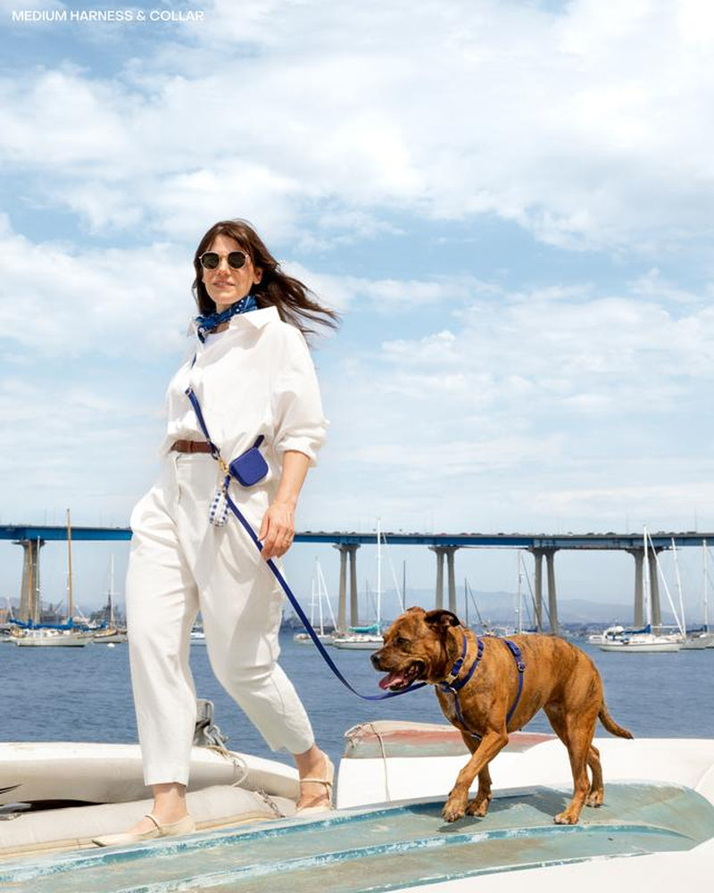 4-in-1 Convertible Hands-Free Dog Leash, 8.5 Feet Long, 5/8 Inch Wide