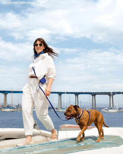 4-in-1 Convertible Hands-Free Dog Leash, 8.5 Feet Long, 5/8 Inch Wide