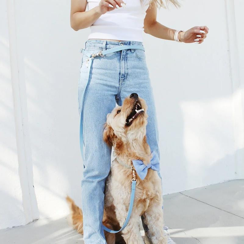 4-in-1 Convertible Hands-Free Dog Leash, 8.5 Feet Long, 5/8 Inch Wide