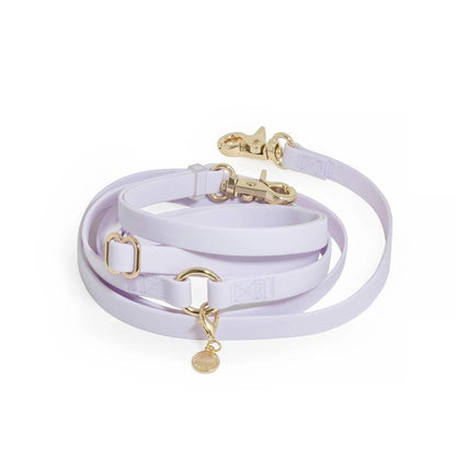 4-in-1 Convertible Hands-Free Dog Leash, 8.5 Feet Long, 5/8 Inch Wide