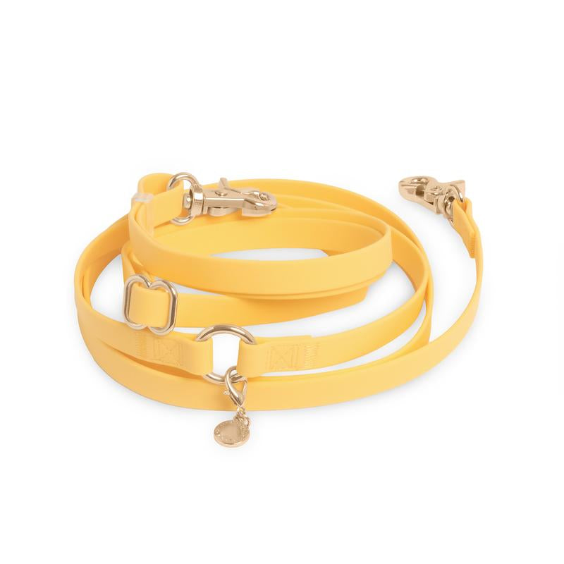 4-in-1 Convertible Hands-Free Dog Leash, 8.5 Feet Long, 5/8 Inch Wide