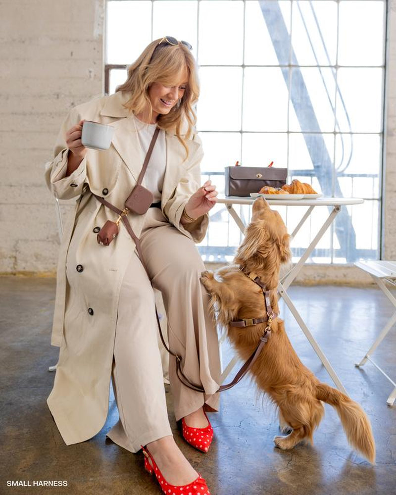 4-in-1 Convertible Hands-Free Dog Leash, 8.5 Feet Long, 5/8 Inch Wide