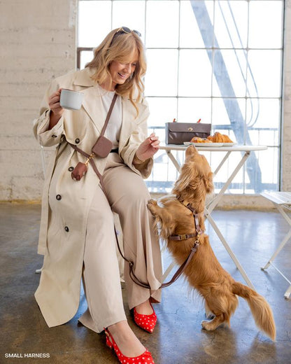 4-in-1 Convertible Hands-Free Dog Leash, 8.5 Feet Long, 5/8 Inch Wide