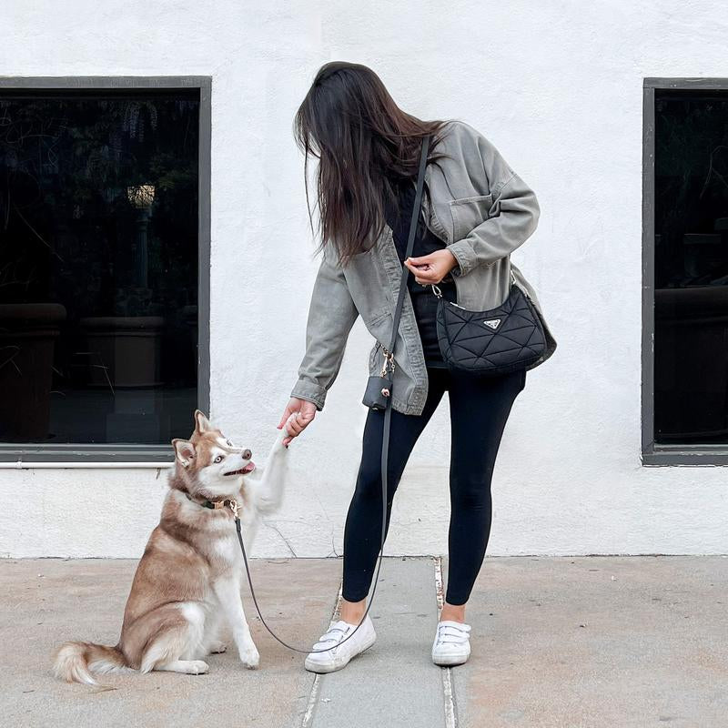 4-in-1 Convertible Hands-Free Dog Leash, 8.5 Feet Long, 5/8 Inch Wide