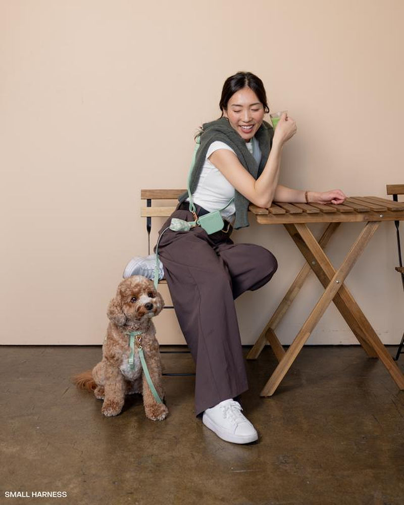 4-in-1 Convertible Hands-Free Dog Leash, 8.5 Feet Long, 5/8 Inch Wide