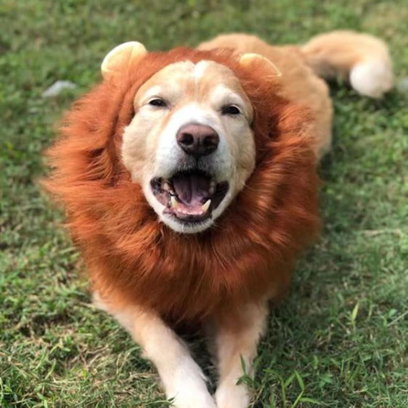 Roar with Style: Adorable Lion Mane Costume for Medium to Large Dogs - Perfect for Halloween and Parties!